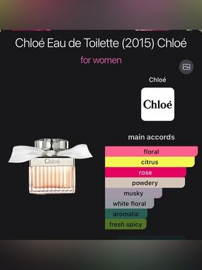 NWOT Chloe